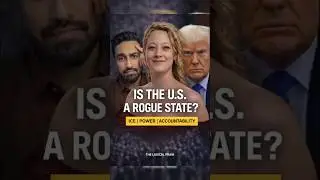 Is the U.S. a Rogue State? Renee Nicole Good | ICE Agents #reneenicolegood #iceagents #USA #trump