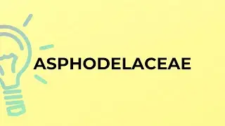 What is the meaning of the word ASPHODELACEAE?