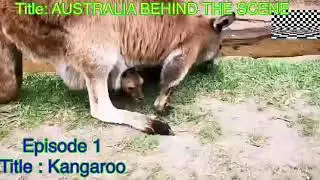 Australia Behind The Scene