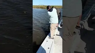 Redfish Fishing Seadrift Texas #fishing #redfish #coastalfishing