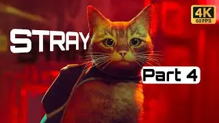 Find Antvillage + Memories🌴💠Stray PC Gameplay Part 4