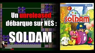 An unreleased game arrives on NES: Soldam!