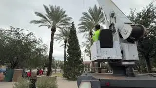 2025 Hometown Holidays-tree delivery