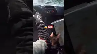 Rally driver takes wrong turn 😭 #rally #bruh #fail #fast #automobile