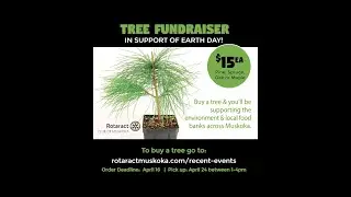 Buy a tree and help support local food banks across Muskoka