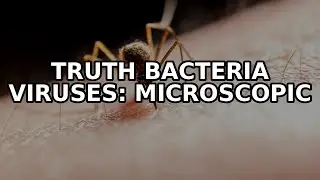 Bacteria vs. Viruses: The Microscopic Truth Will Shock You