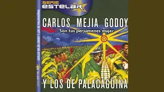 Clodomiro El Ñajo