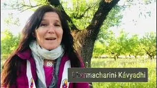 The new Buddhist Center in Valencia need your help, by Kávyadhi