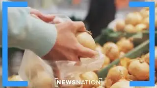 Do you have plastic in your blood? Study shows 80% of people do | Rush Hour