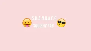 Shandace Squishy Tag