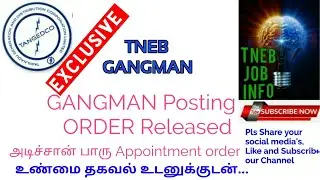 TNEB Gangman Posting order வெளியிடப்பட்டது.