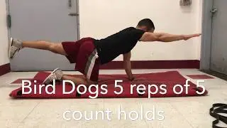 General Activation Drills for an Efficient Warm Up