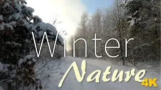 4K Stunning Winter Landscape From Poland Beautiful of Nature With Relaxing Meditation Music