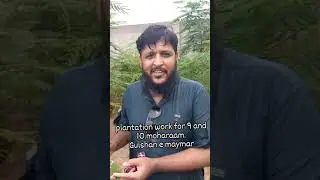 Karachi,03162593300 Sagheer bhiey/Green Pakistan/Save People from Heat Plant 🌲🌲