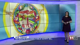 MN Senate Discusses Public Safety Bill