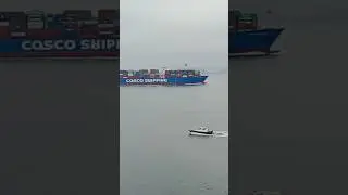 COSCO SHIPPING CONTAINER SHIP | Loaded Containers Ship #tugboat #cosco #containership #ship #vessel