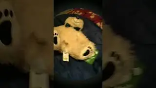 chpi camera #meme #remix #funny