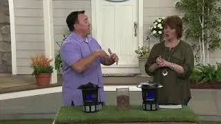 DynaTrap Indoor/Outdoor Mosquito and Insect Trap on QVC