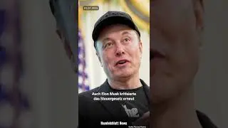 &bdquo;Schweinchen-Dick-Partei&ldquo; &ndash; Musk verspottet Trump-Lager erneut