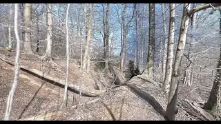 Gaussian Splatting in UnrealEngine - Digital walk through the Forest with XGRIDS