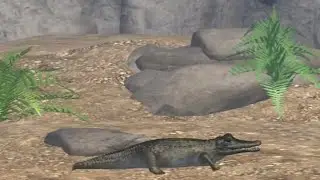 Evolution of life on earth 