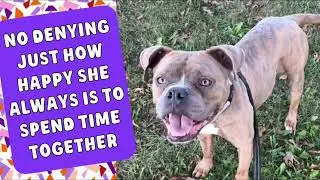 MEET PYGMY AT KC PET PROJECT