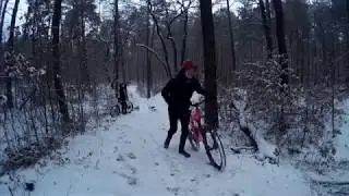 Trail 5.1.2019