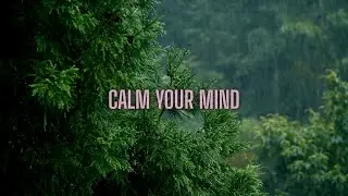 No Ads Rain Sounds for Sleeping - Beautiful Piano Music in background for Relaxing #rainsounds
