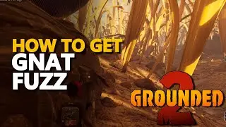 How to get Gnat Fuzz Grounded 2