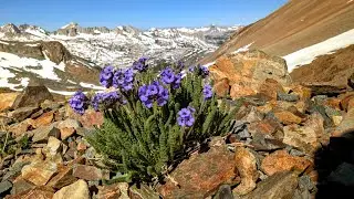 McGee Pass - June 2025