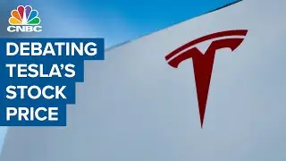 Tesla bull and bear debate the stock's major tumble