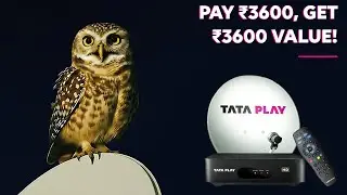 Tata Play Dhamaka Offer&mdash;Deposit ₹3600 & Get Amazing Benefits! Watch full video to know all the perks