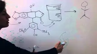Stanford scientists produce cancer drug in a plant