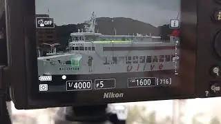 第二しょうどしま丸(からかい上手の高木さんラッピングフェリー) 土庄港着岸