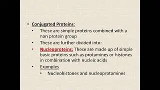 Classification of Proteins