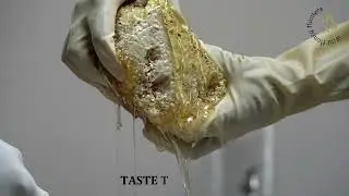 Ghats honey // Wild Honey directly from the Honeycomb // Worlds best honey // Raw Honey