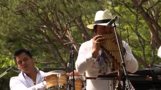 안데스음악 가우사이(Kawsay) 공연 1 (Andes Music Kawsay)
