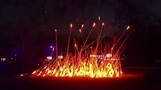 30 seconds of serenity at the Brooklyn Botanic Garden light show.