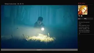 Erica gameplay