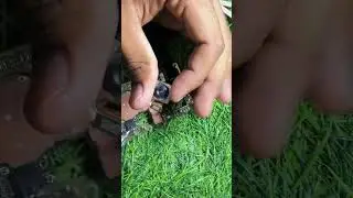 Camera lens cleaning 📸properly without any damage#mr_mukhid_0_7 #work #mobile #shortvideo #youtube