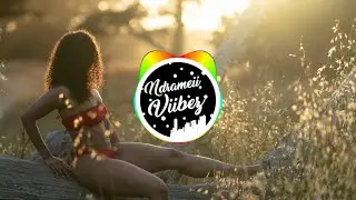 Olive The Boy - Asylum [Wellz AfroStyle ReMix]🇻🇺