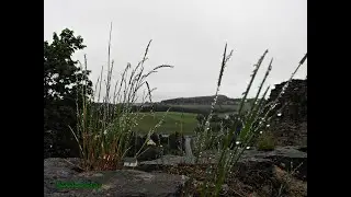 Schloss Wolkenstein 2014 in lang #schloss #wolkenstein #video #nature #adventure #castle #art