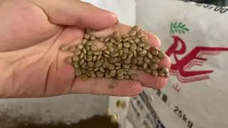 PURUI single screw compactor pelletizing machine with single shaft shredder for PP woven bag/yarn