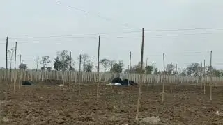 Polyhouse Set Up | Farming Ideas | Innovative Agri Solution
