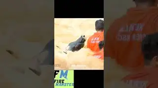 Fire service #cow rescue #cow #short #viralvideo ##like #subscribe  #friends