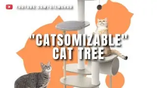 PETLIBRO INFINITY DIY : YOUR CUSTOMIZABLE MODULAR CAT TREE | Kickstarter | Gizmo Hub
