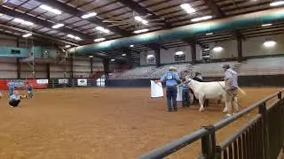 2024 TJSA Show 1.0