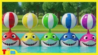 Baby Shark + More Nursery Rhymes and Kids Songs | Tim Time
