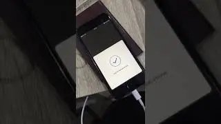 Read Passport with NFC on iPhone