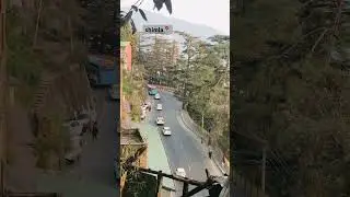Travel Shimla in November 😍#shimla #travel #shimlatourism #hrtchimachal #shorts #song